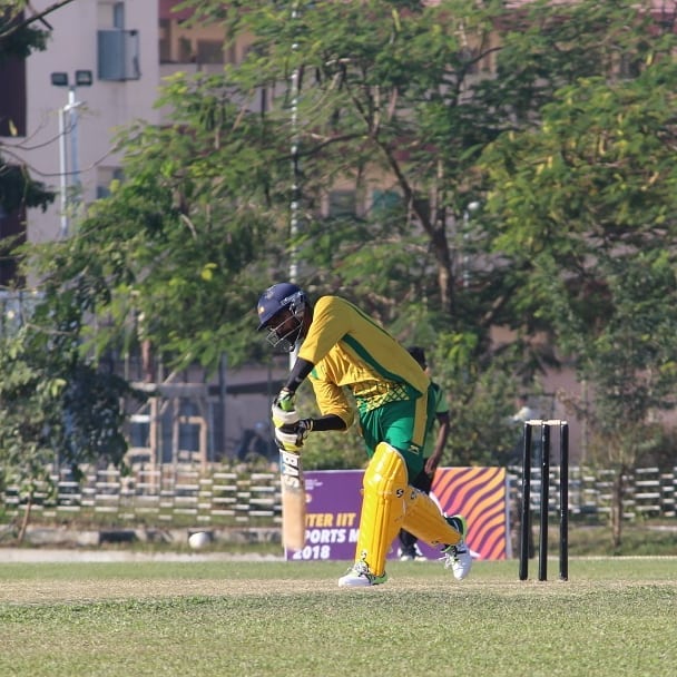 cricket